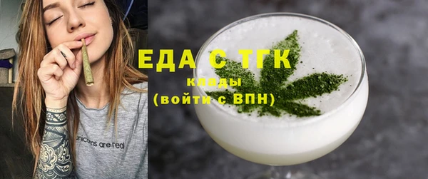 мдпв Бородино