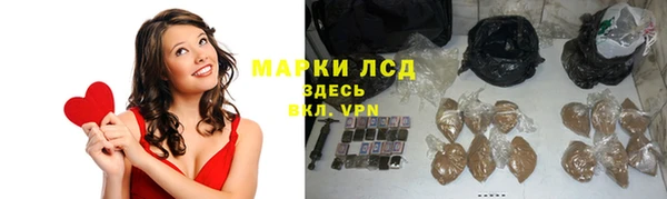 стафф Заречный