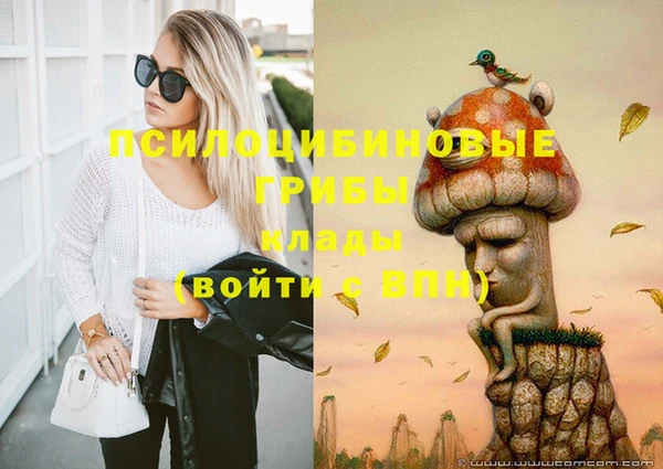 синтетический гашиш Бронницы