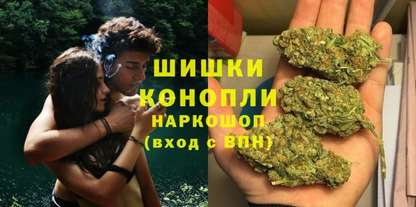 мдпв Бородино