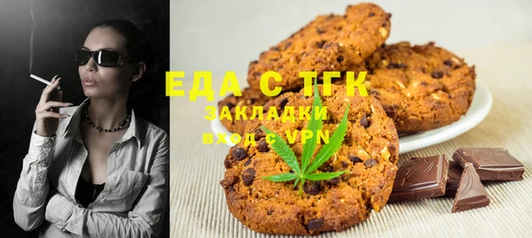 мдпв Бородино