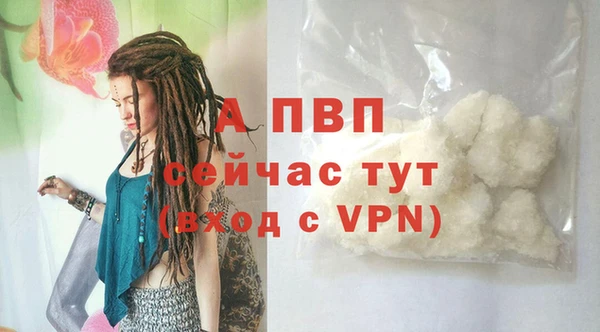 мдпв Бородино