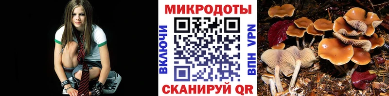 Галлюциногенные грибы ЛСД  купить  цена  Новомичуринск 